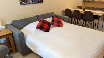 2 bedrooms, desk, iron/ironing board, travel crib