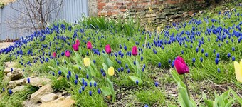 Capella Cottage, 2 Bedroom, Sleeps 4