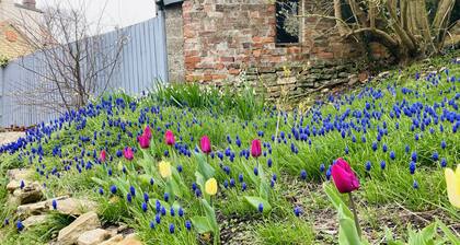 Capella Cottage, 2 Bedroom, Sleeps 4