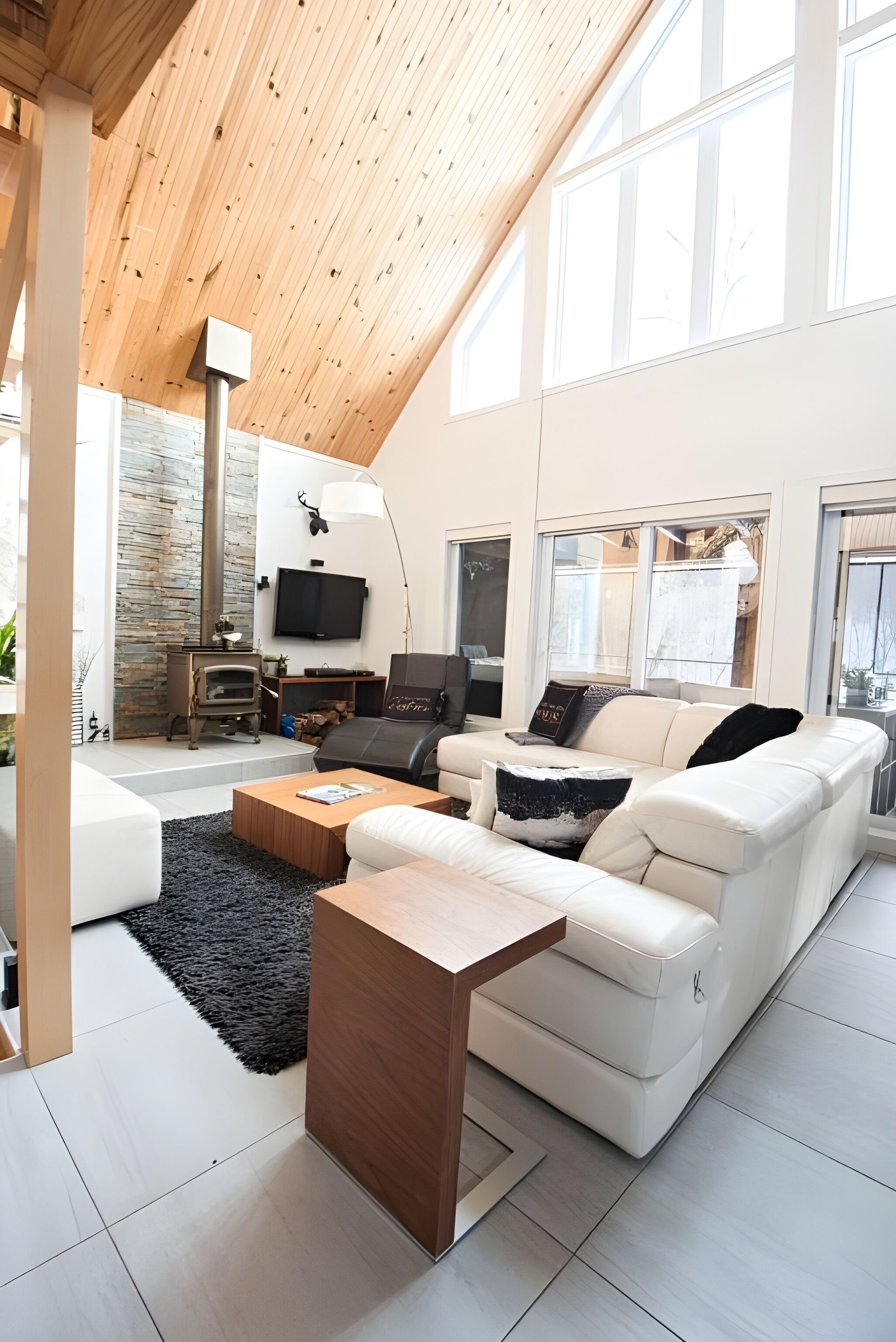 Smart TV, fireplace, video games, DVD player