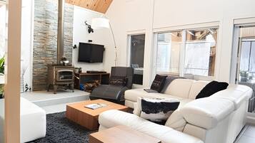 TV connectée, cheminée, jeux vidéo, lecteur de DVD