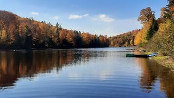Ein ruhiger See, umgeben von Bäumen in Herbstfarben.