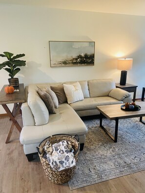 Älytelevisio, takka