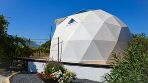 Una estructura en forma de domo geodésico con un ventanal triangular, rodeada por un camino de grava y diversas plantas.