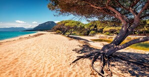 Una spiaggia nelle vicinanze, ombrelloni, 3 bar sulla spiaggia