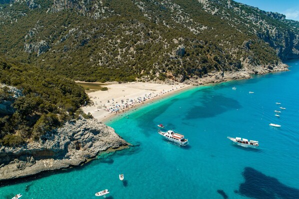 靠近海滩、海滩遮阳伞、3 间海滩酒吧