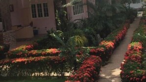 Un edificio con un vialetto fiorito, bordato da fiori rossi, circondato da vegetazione lussureggiante e palme.