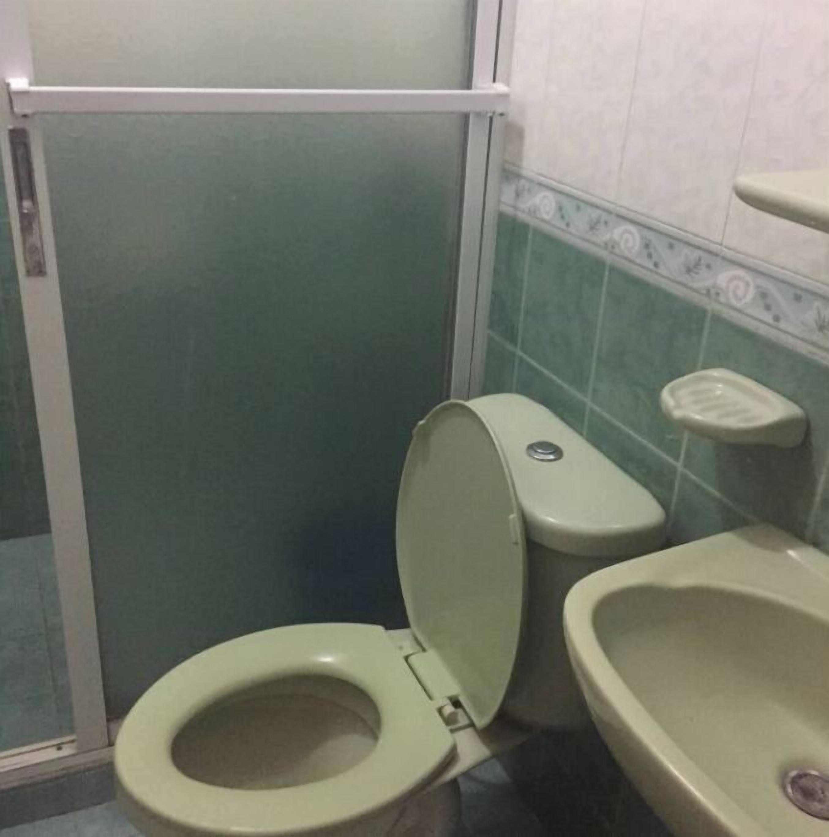 Un baño pequeño con inodoro, lavamanos y cabina de ducha.