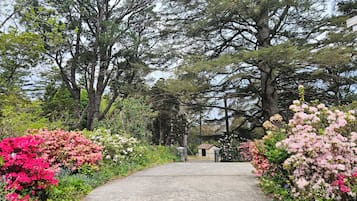 Jardines del alojamiento