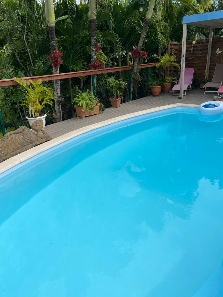 Une piscine d’un bleu éclatant, entourée de plantes en pot et bordée d’une terrasse en bois.