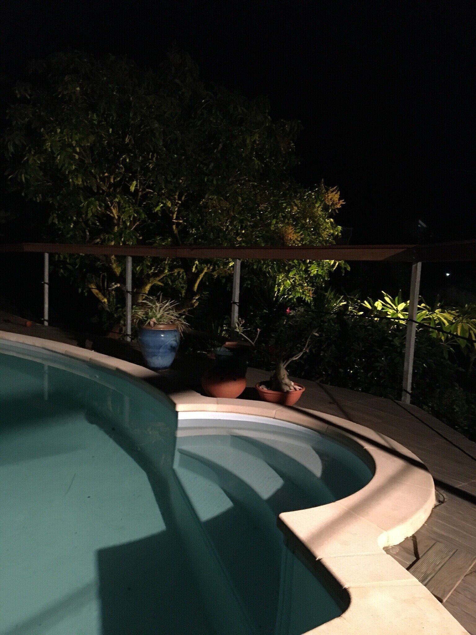 Une piscine à bordures courbes, entourée de plantes en pot et dotée d’une terrasse en bois.