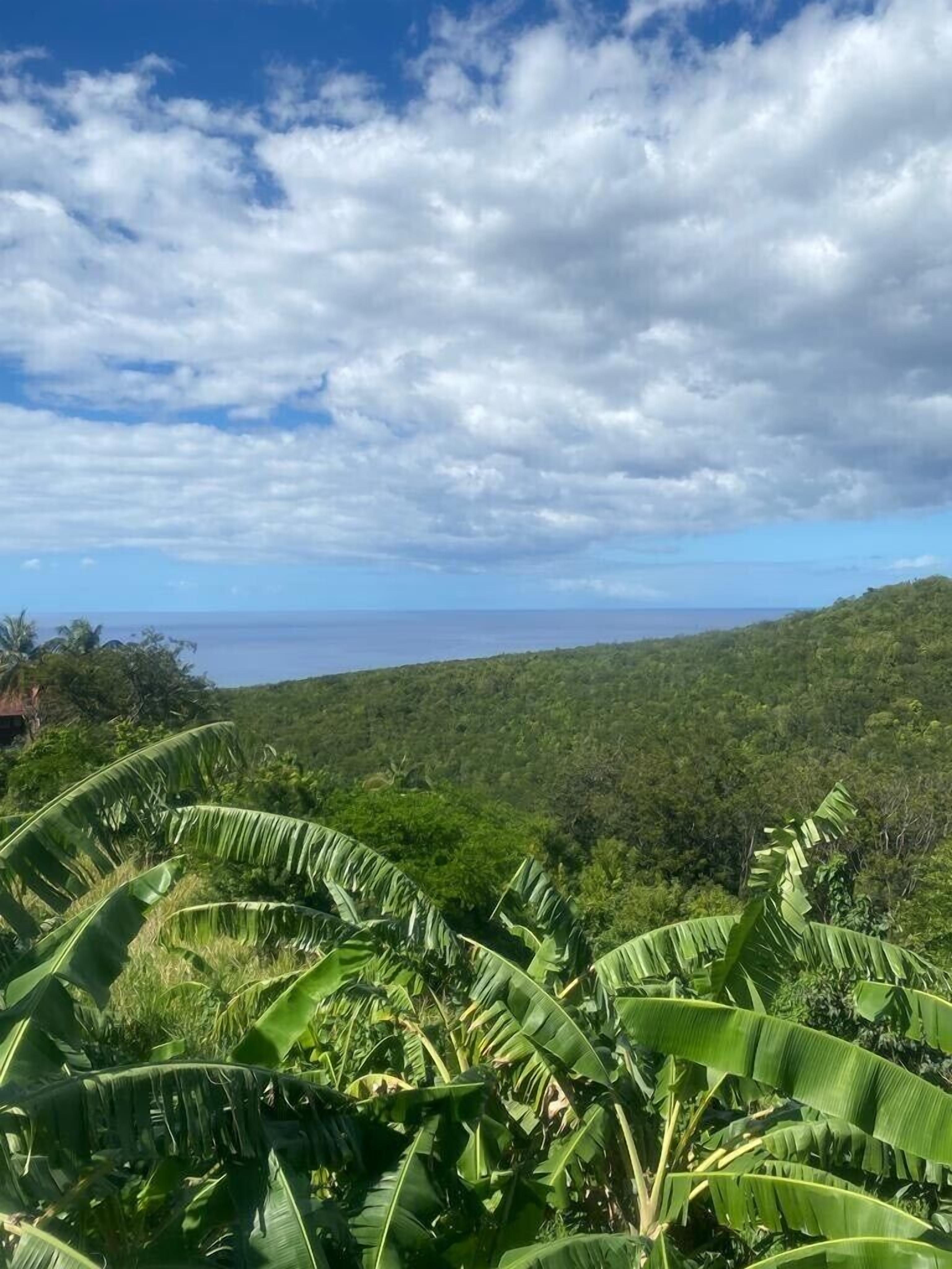 Paesaggio rigoglioso con piante di banana in primo piano e vista sull'oceano sotto un cielo parzialmente nuvoloso.