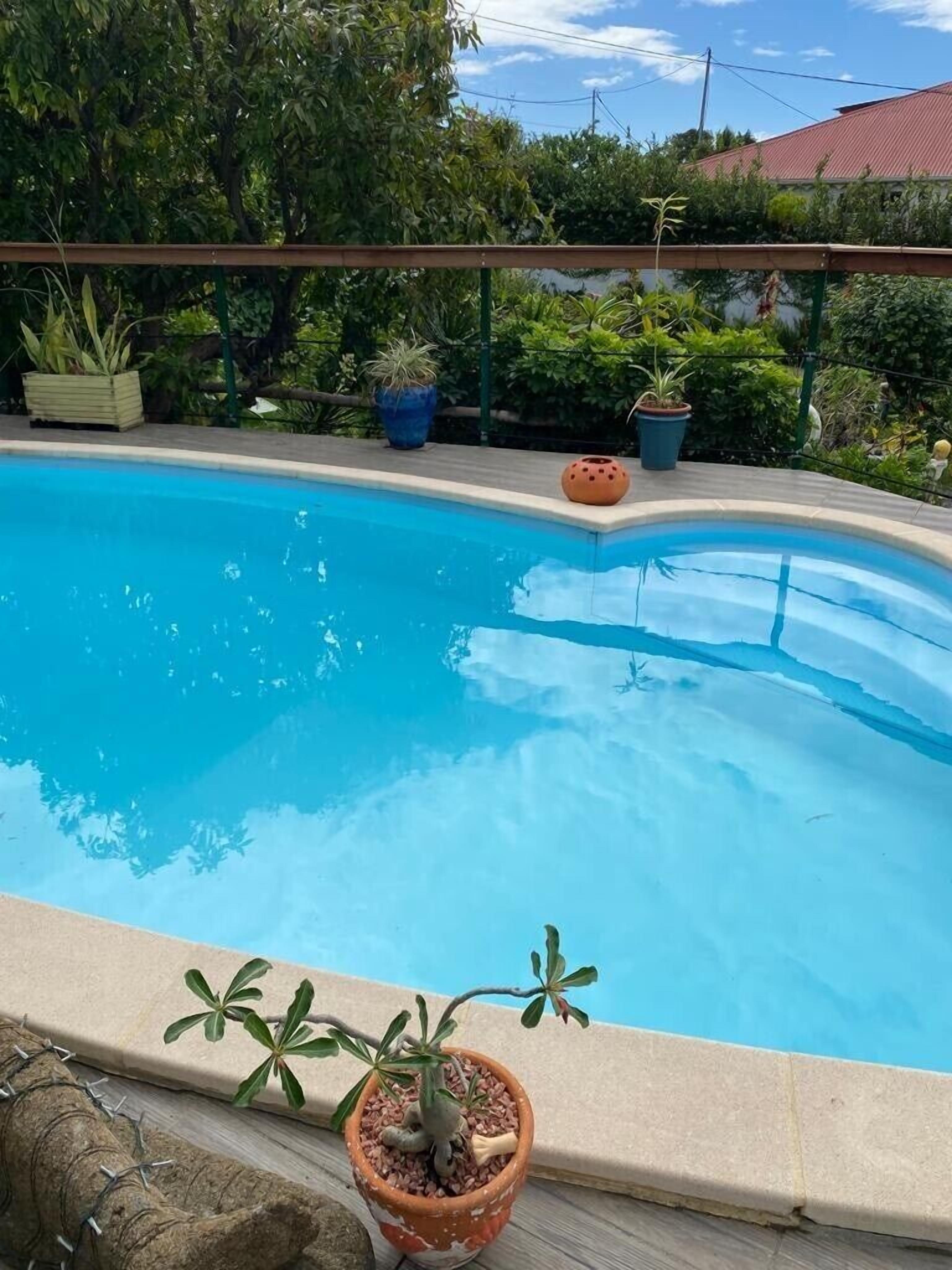 A swimming pool with a curved edge, surrounded by potted plants and a wooden fence.