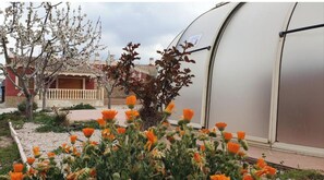 Une serre dotée d’un dôme transparent, entourée de plantes en fleurs et d’un petit arbre aux feuilles rouges.
