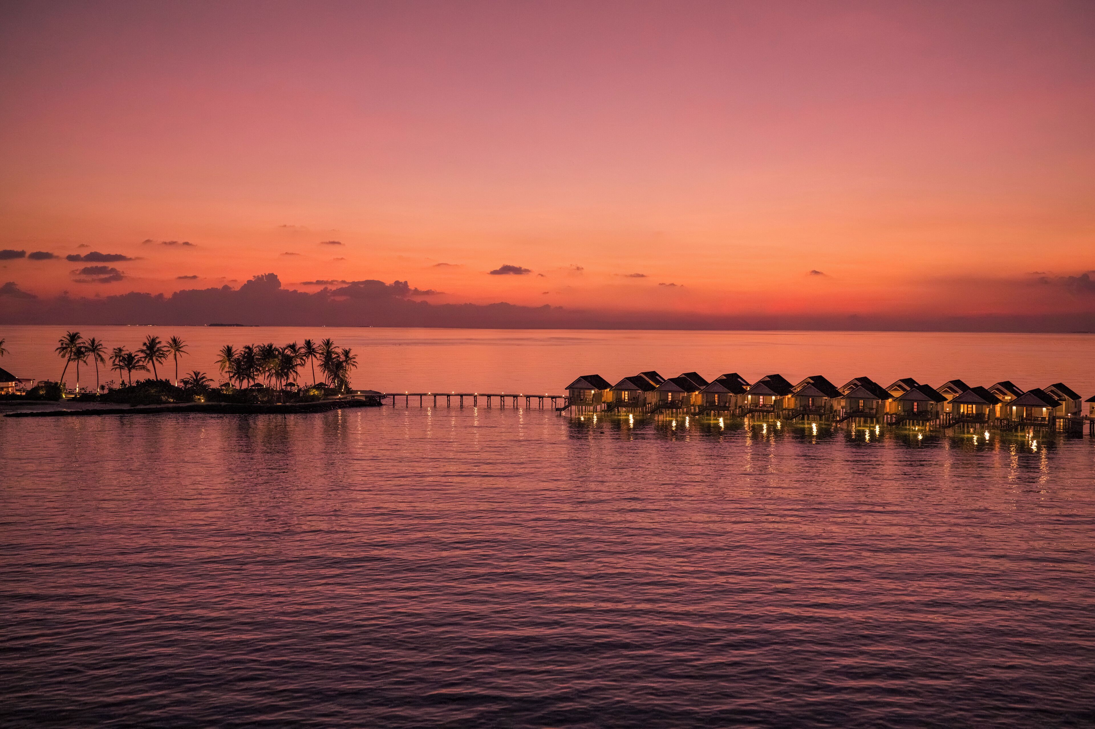 Overwater bungalows with a water view, a pier, and palm trees.