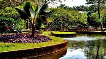 Área da propriedade