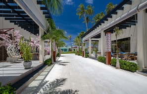 En la playa, arena blanca, paseos en velero, kayak