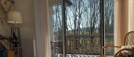 Télévision, lecteur de DVD, livres