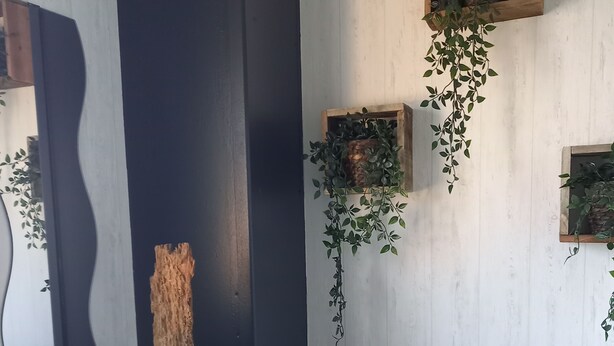 Una habitación con una pared de acento oscura, estantes de madera con plantas en macetas, un tronco de árbol grande y un mueble negro con cajas decorativas.