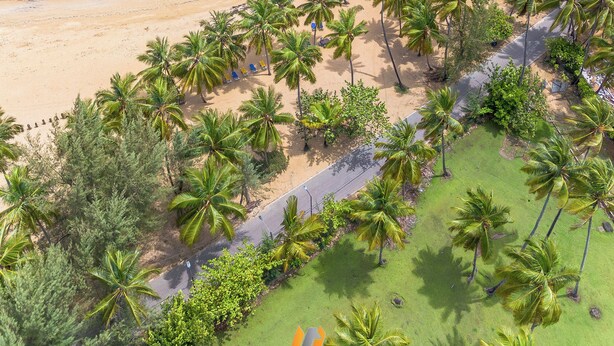An aerial view of a beach with clear turquoise waters, a sandy shore, and palm trees.