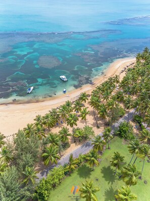 An aerial view of a beach with clear turquoise waters, a sandy shore, and palm trees.