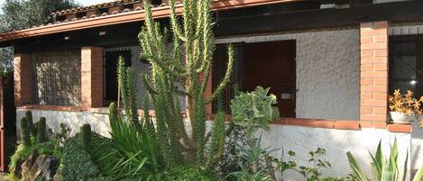 Un edificio con techo de tejas, paredes de ladrillo y un jardín con diversas plantas, incluyendo cactus y suculentas.