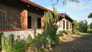 Dettaglio esterni