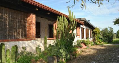 Pretty House Ein authentischer und erholsamer Rückzugsort zwischen Land und Meer