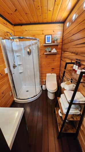 Shower, towels, soap, shampoo
