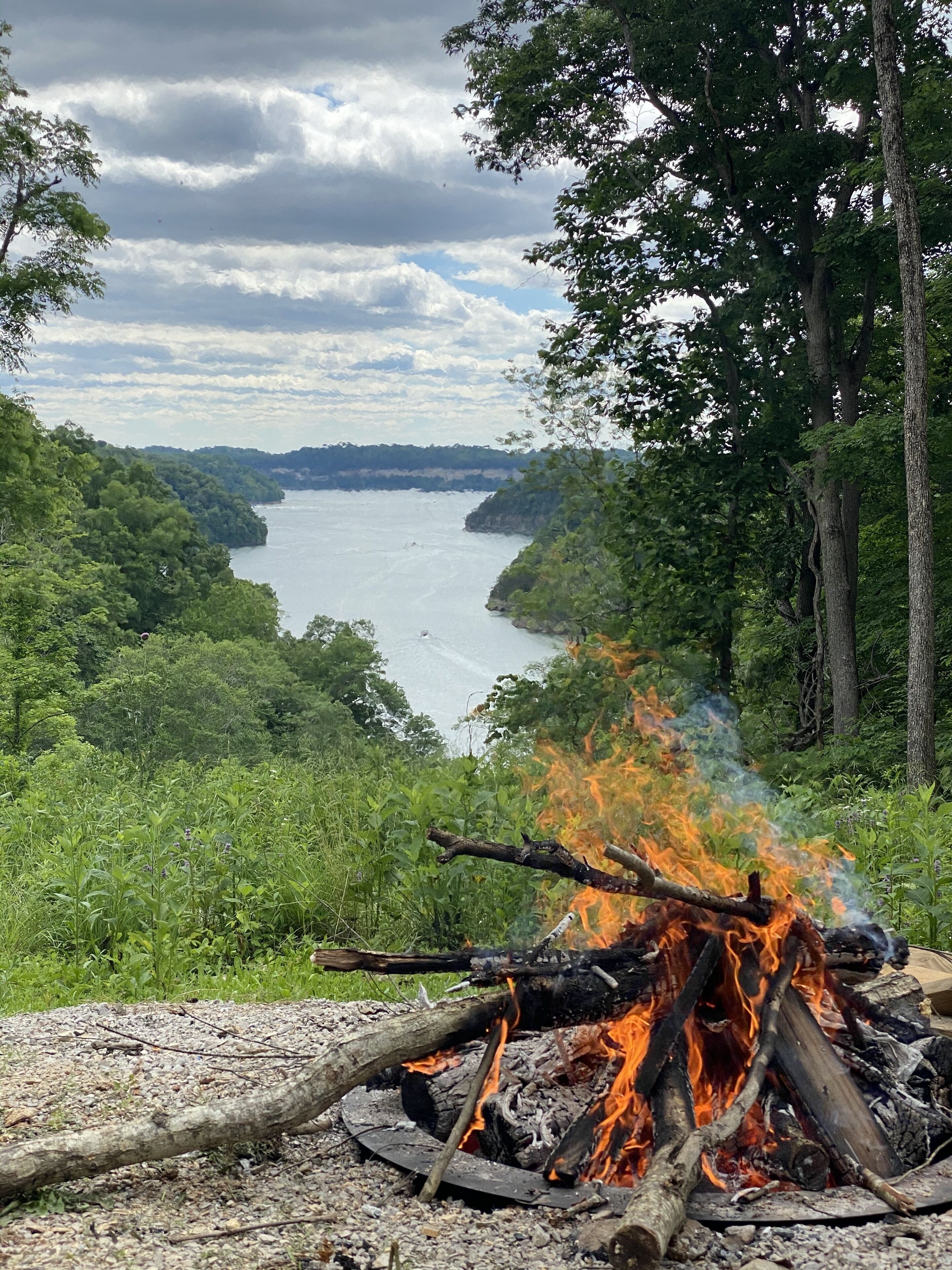 A campfire surrounded by dense forest and a river in the background.