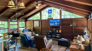 TV connectée, cheminée, lecteur de DVD, livres