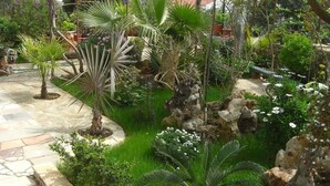 A garden with various plants, a stone pathway, and a rock formation.