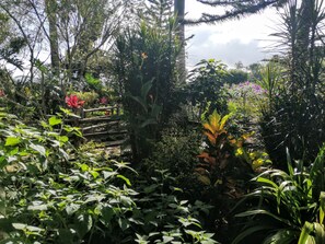 Property grounds - Wellness, Relaxation & Adventure - What's Your Pura vida?   (Provincia de Alajuela)