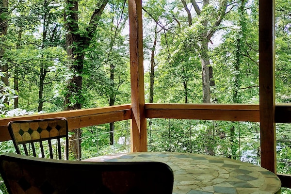 Our deck is a tree top retreat.