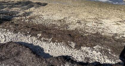 Bungalow oasis with lots of room