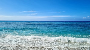A beach with clear turquoise water and white foam waves. - Top location - tranquillity - pool - garden & sea view (Zambrone)