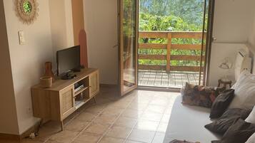 Télévision, lecteur de DVD, livres, chaîne hi-fi