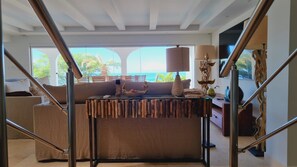 Smart TV, books, stereo, computer monitors