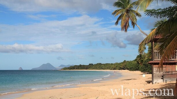 Ein Strand mit einer Holzkonstruktion, Palmen und einem Berg im Hintergrund.