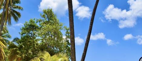 بالقرب من الشاطئ