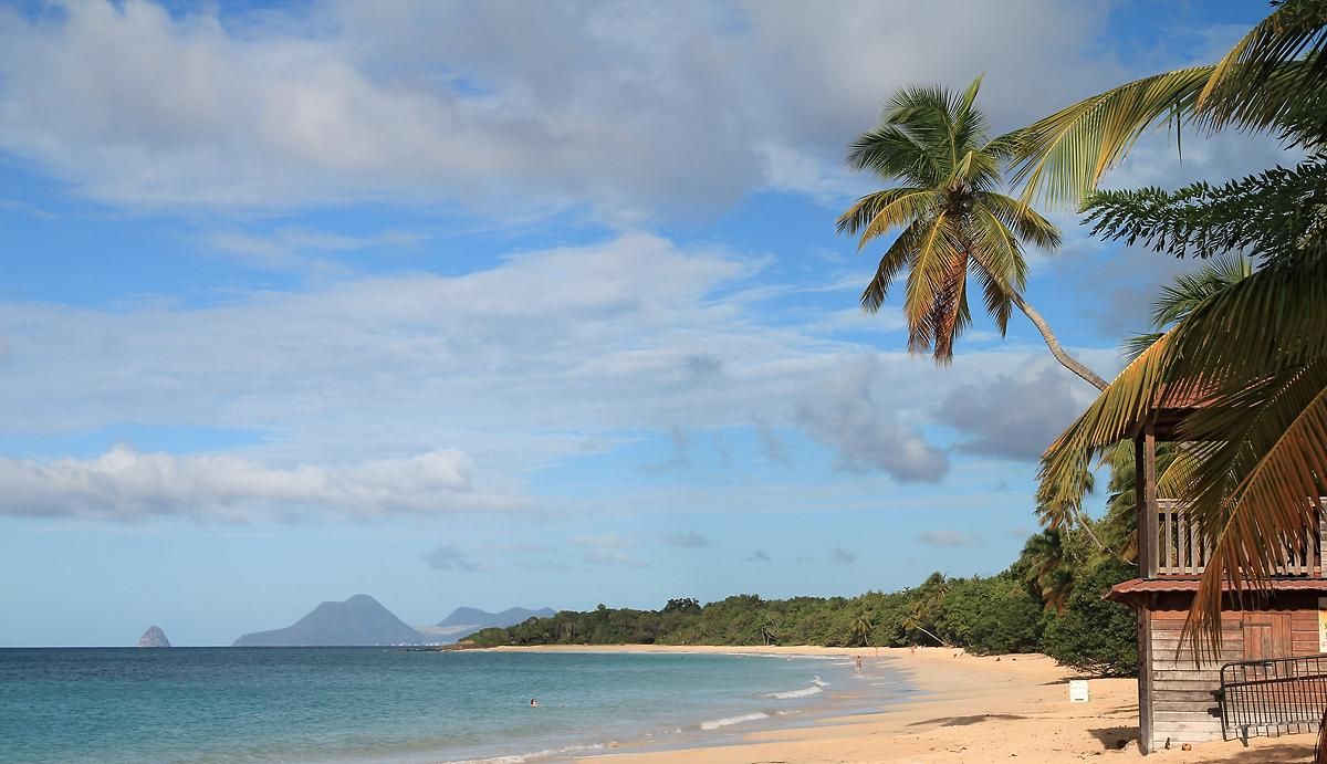 A beach with a wooden structure, palm trees, and a mountain in the background.