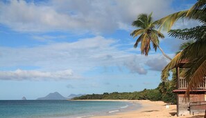 A beach with a wooden structure, palm trees, and a mountain in the background.