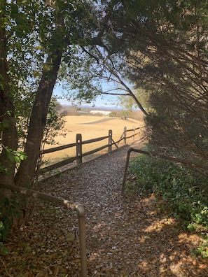 Parco della struttura