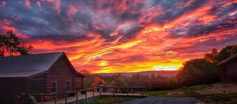 Private getaway cabin in the woods
