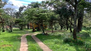 A pathway leading to a yellow building surrounded by trees. - Cabin, located in a natural area around (Mazamitla)