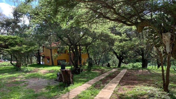 A pathway leading to a yellow building surrounded by trees. - Cabin, located in a natural area around (Mazamitla)