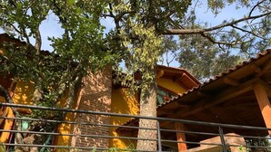 A building with a brick facade, a wooden roof, and a metal railing in the foreground. - Cabin, located in a natural area around (Mazamitla)