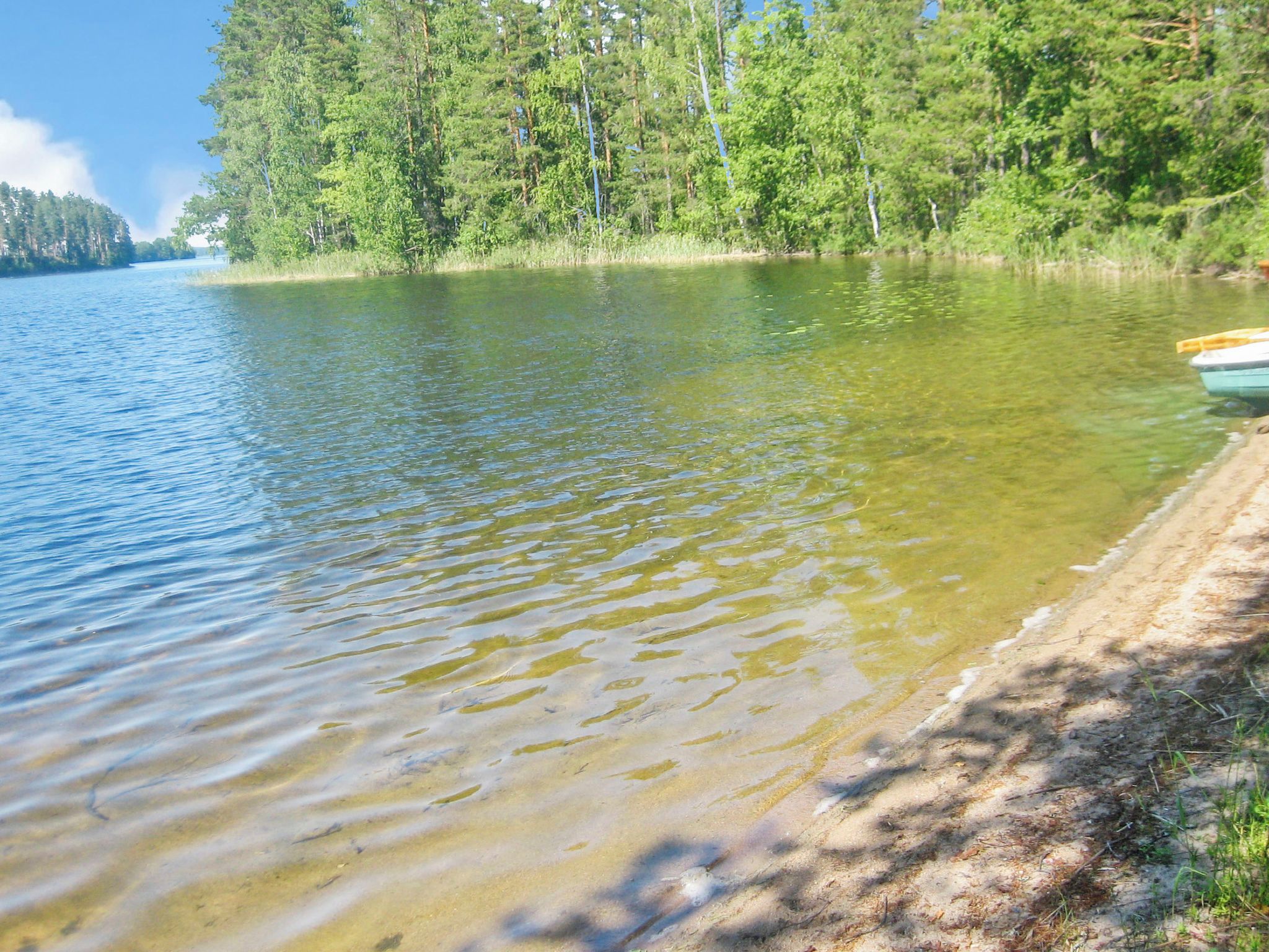 Un lac paisible aux eaux limpides, bordé d’une forêt dense et verdoyante et d’une plage de sable.