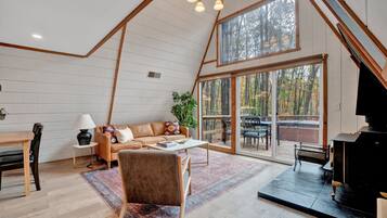 Smart TV, fireplace, books