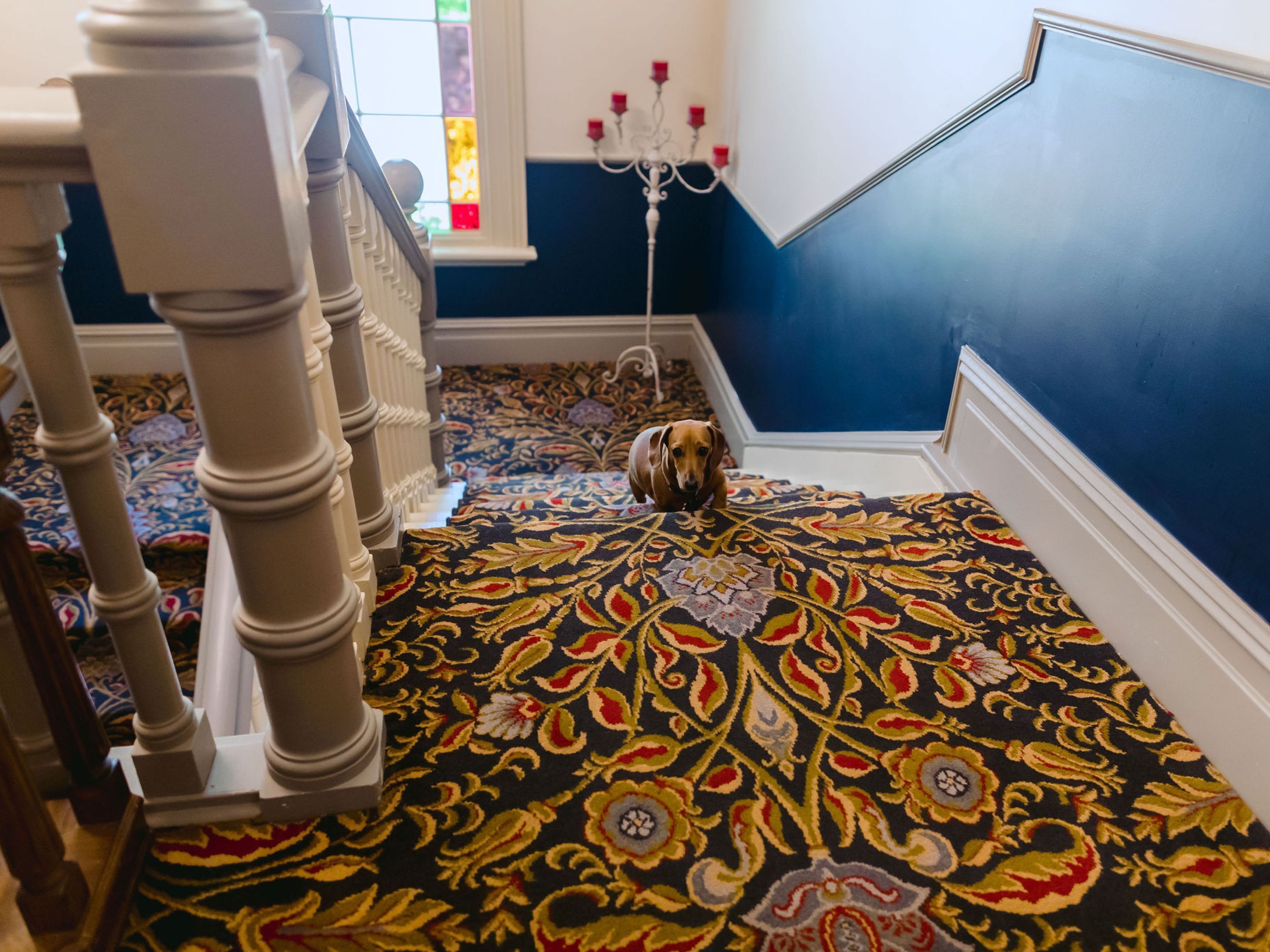 A staircase with a patterned carpet, a chandelier, and a dog.